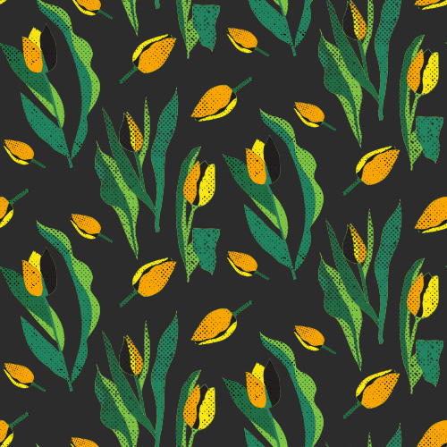 oliver's tulips