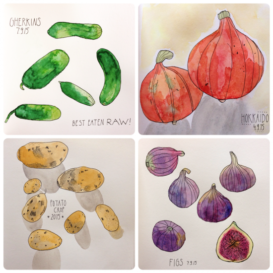 Cathrin Gressieker - September harvest sketches