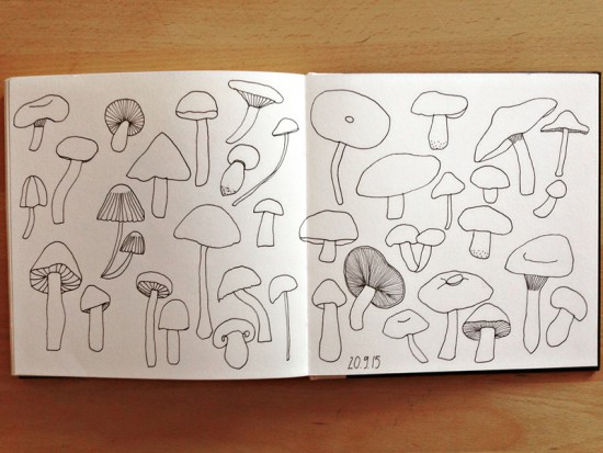 Cathrin Gressieker_mushrooms sketchbook